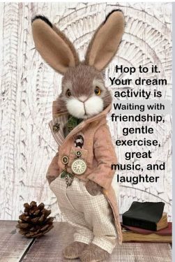 503614542_3901060576822283_7865589000575271700_n